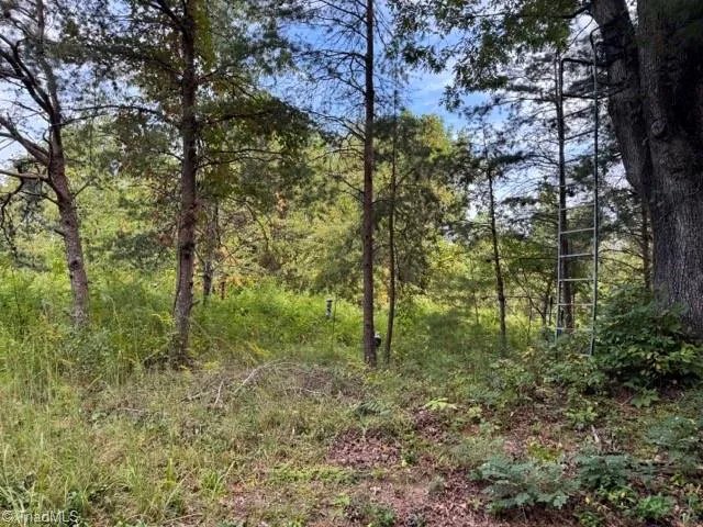Crews Rd #2.35, Moravian Falls, NC 28654