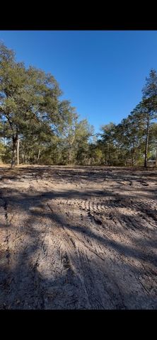 Xx Tickie Ridge Cir, Crawfordville, FL 32327