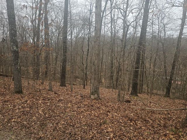 Elgin Rd, Camden, TN 38320