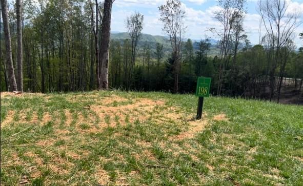 198 Skyline View Rd, Murphy, NC 28906