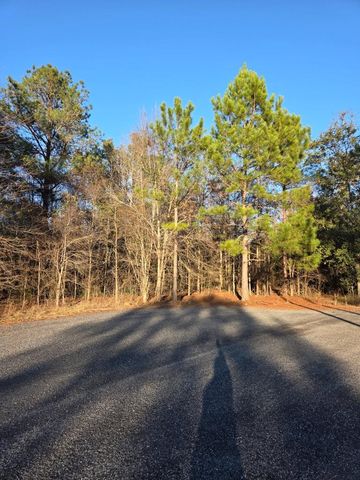 Na Pine Trl, Sylvester, GA 31791