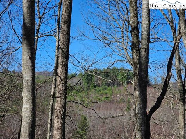 Lot 28 Shady Valley Drive, West Jefferson, NC 28694