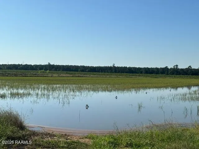 State Highway 104, Oberlin, LA 70655