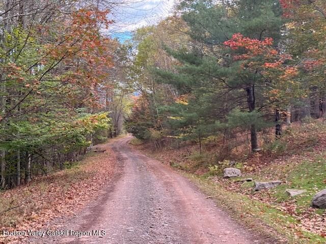 0 North Ridge Extension, Windham, NY 12496