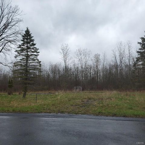 12192 Duck Lake Rd, Red Creek, NY 13143