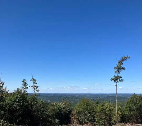 2789 Salt Lick Rd, Montrose, WV 26283
