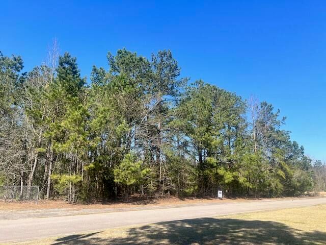 Kirkland St, Orangeburg, SC 29118