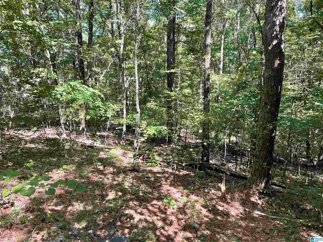 282 Mountain Dr #2-7, Oneonta, AL 35121 | MLS# 1332884 | Trulia