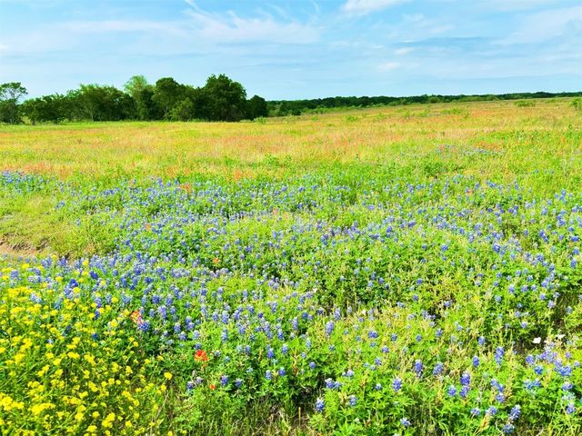 Private Road 373 County Rd #3373, Hubbard, TX 76648