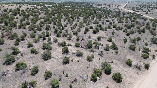Omega Rd #24, Quemado, NM 87829
