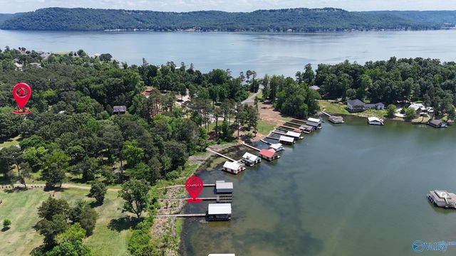 15 Pine Dale Dr, Guntersville, AL 35976