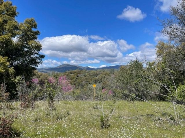 Two Hills Rd, North Fork, CA 93643