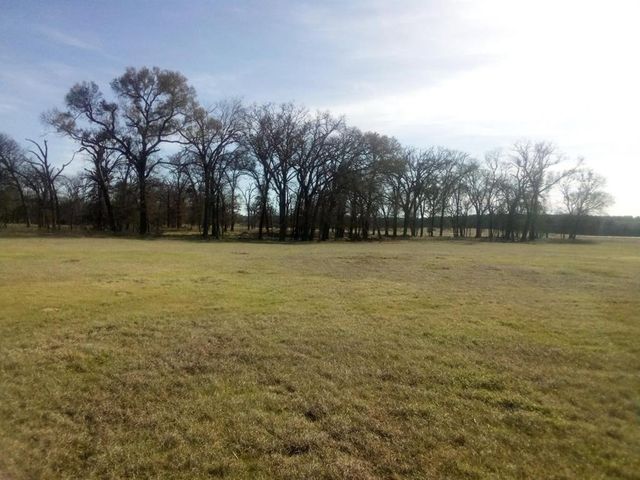 87 Town Road County Rd #231, Centerville, TX 75833