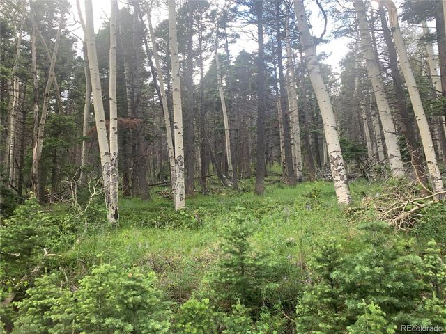 2952 Larry Place  Lot 2952, Fort Garland, CO 81133
