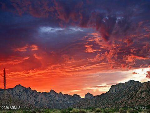 TBD E Cochise Trail #85, Saint David, AZ 85630