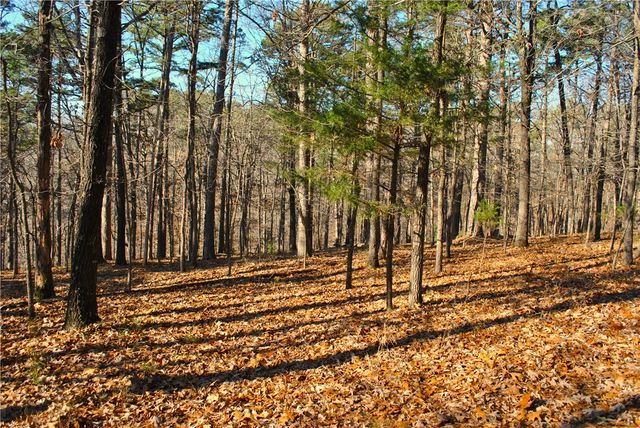3.1 Railroad Cut Rd, Rogers, AR 72756