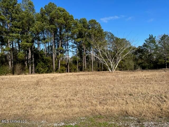 Southern Hills Dr, Lucedale, MS 39452