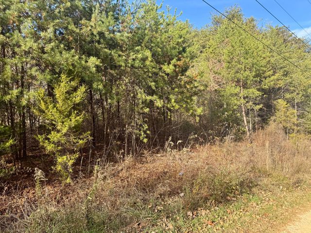 Sun Hill Way, Parrottsville, TN 37843