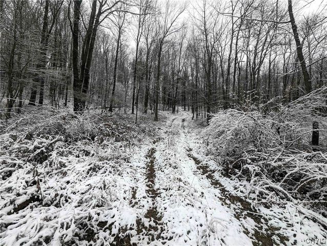 Markle Hollow Rd, Big Flats, NY 14814