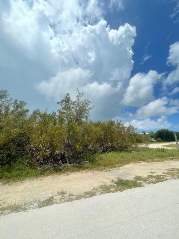 Lot 13 Thatch Ln, Summerland Key, FL 33042