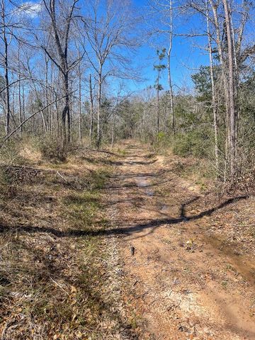 2 W  US Highway 287, Groveton, TX 75845