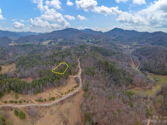 7 Wildlife Dr, Clyde, NC 28721