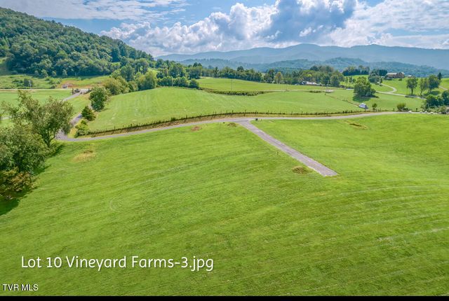 Lot 10 Dry Hill Rd, Butler, TN 37640