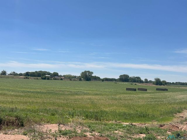 Pecan Dr, Fort Sumner, NM 88119