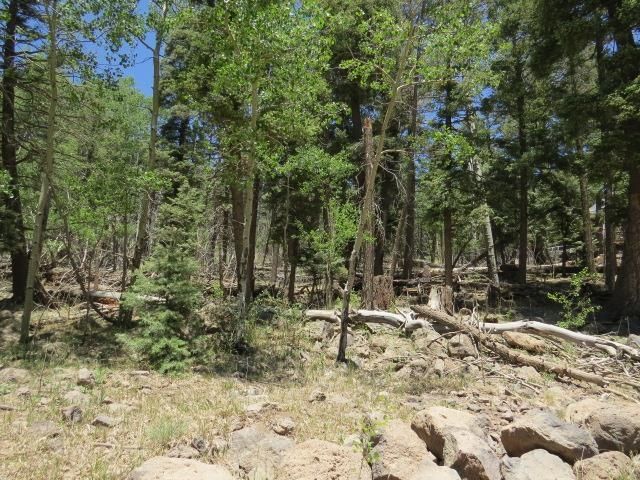 Royal Ave  #1491, Angel Fire, NM 87710