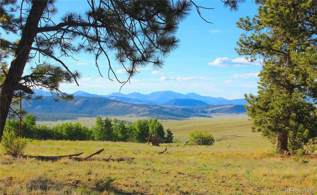 4180 Singletree Road LOT 734, Hartsel, CO 80449