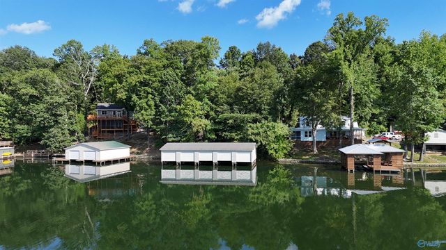 17 Pine Island Point, Scottsboro, AL 35769