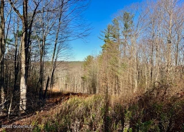 L75 Whitetail Trace Road Lot 14, East Chatham, NY 12060