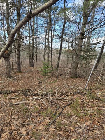 Lot 1 Maple Street, Farmingdale, ME 04344