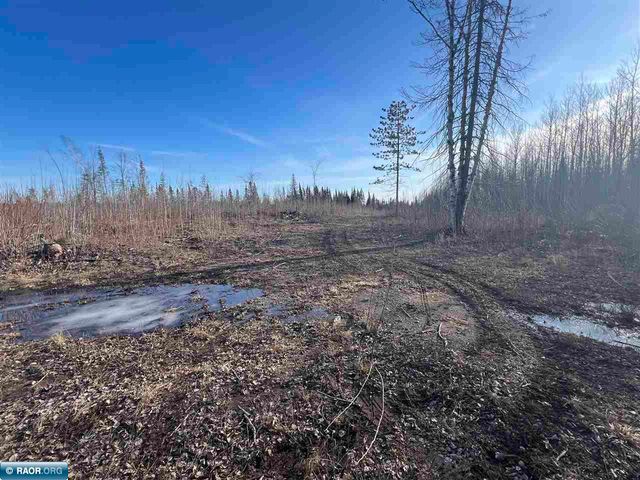 Central Lakes Rd, Eveleth, MN 55734