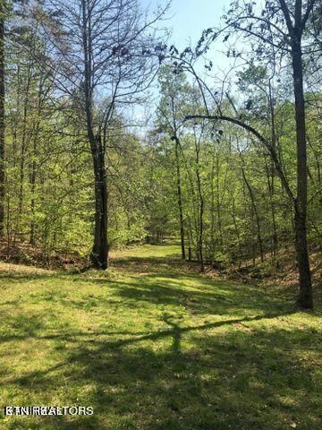 Lot 14 Black Fox Hbr, Washburn, TN 37888