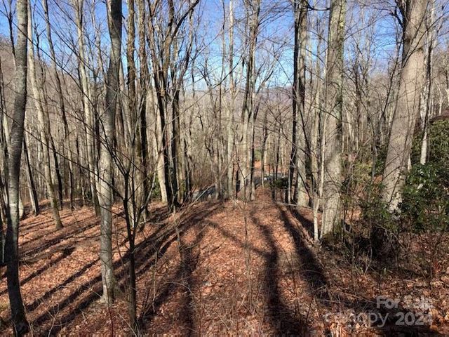 Lot-60H Odalu Trl, Maggie Valley, NC 28751