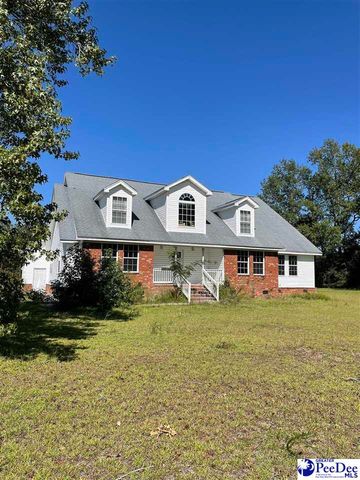 238 W  Canal Rd, Sellers, SC 29592