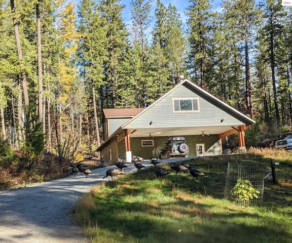 158 Forest Knolls Dr, Sandpoint, ID 83864