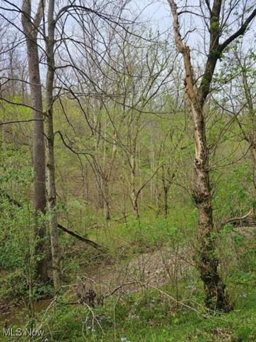 1247 Rocky Br, Spencer, WV 25276