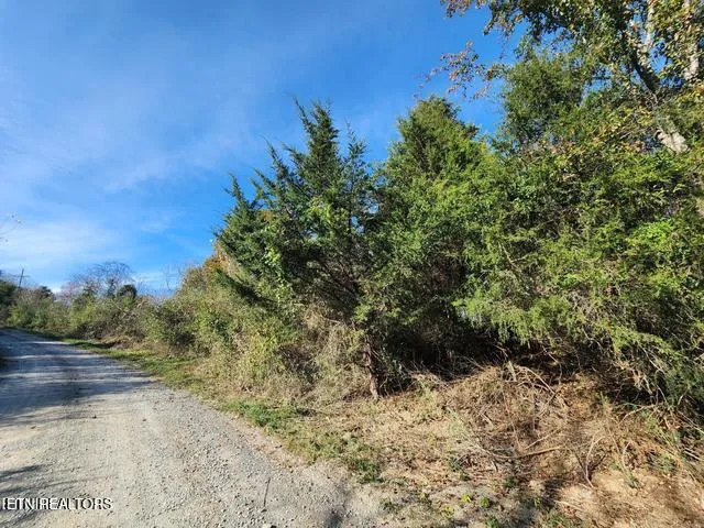 Shuler Dr, Pennington Gap, VA 24277