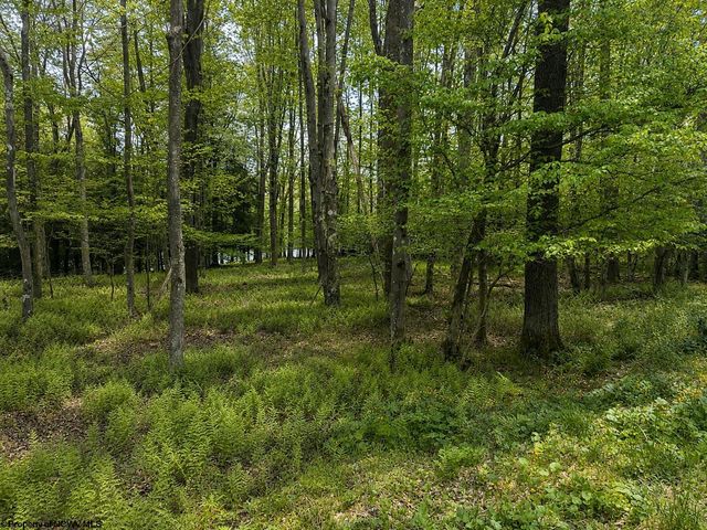 Lots 175 & 176 Laurel Cir, Terra Alta, WV 26764