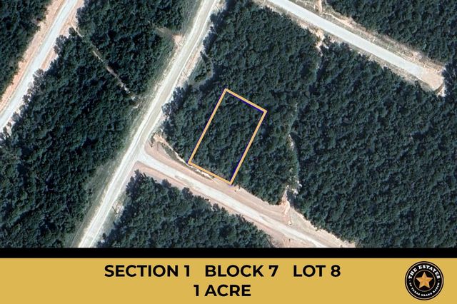 115 Bunkhouse Rd #8, New Waverly, TX 77358
