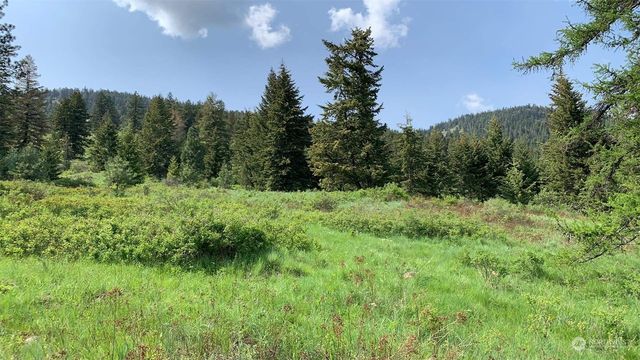 0 Clearview Lane, Curlew, WA 99118