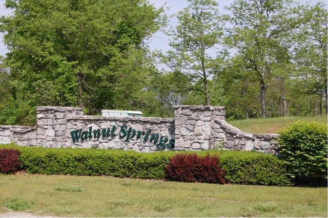 Lot 68 Lost In Woods Lane, Cape Fair, MO 65624