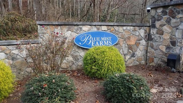 22 Early Spring Way, Leicester, NC 28748