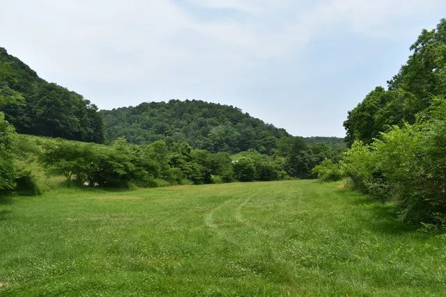 Nascar Ln #5, Pleasant Shade, TN 37145
