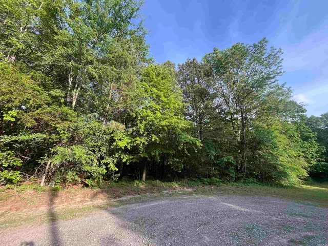 22 Brown Rd, Higden, AR 72067