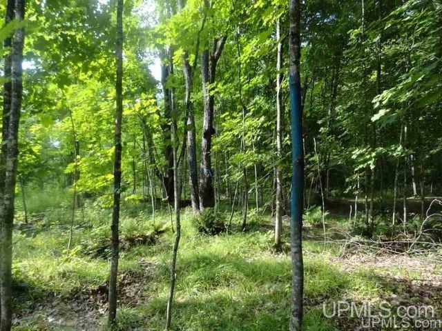 16 Mile Lake Rd, Munising, MI 49862