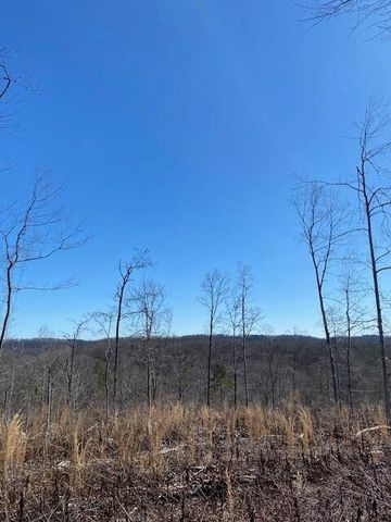Tract 18 River Rd #18, Decatur, TN 37322