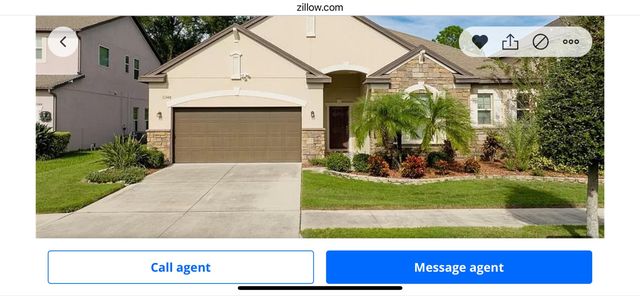 11349 American Holly Dr, Riverview, FL 33578